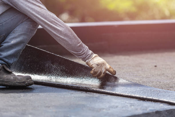 Professional Interior Drainage System technician working in Leonia, NJ